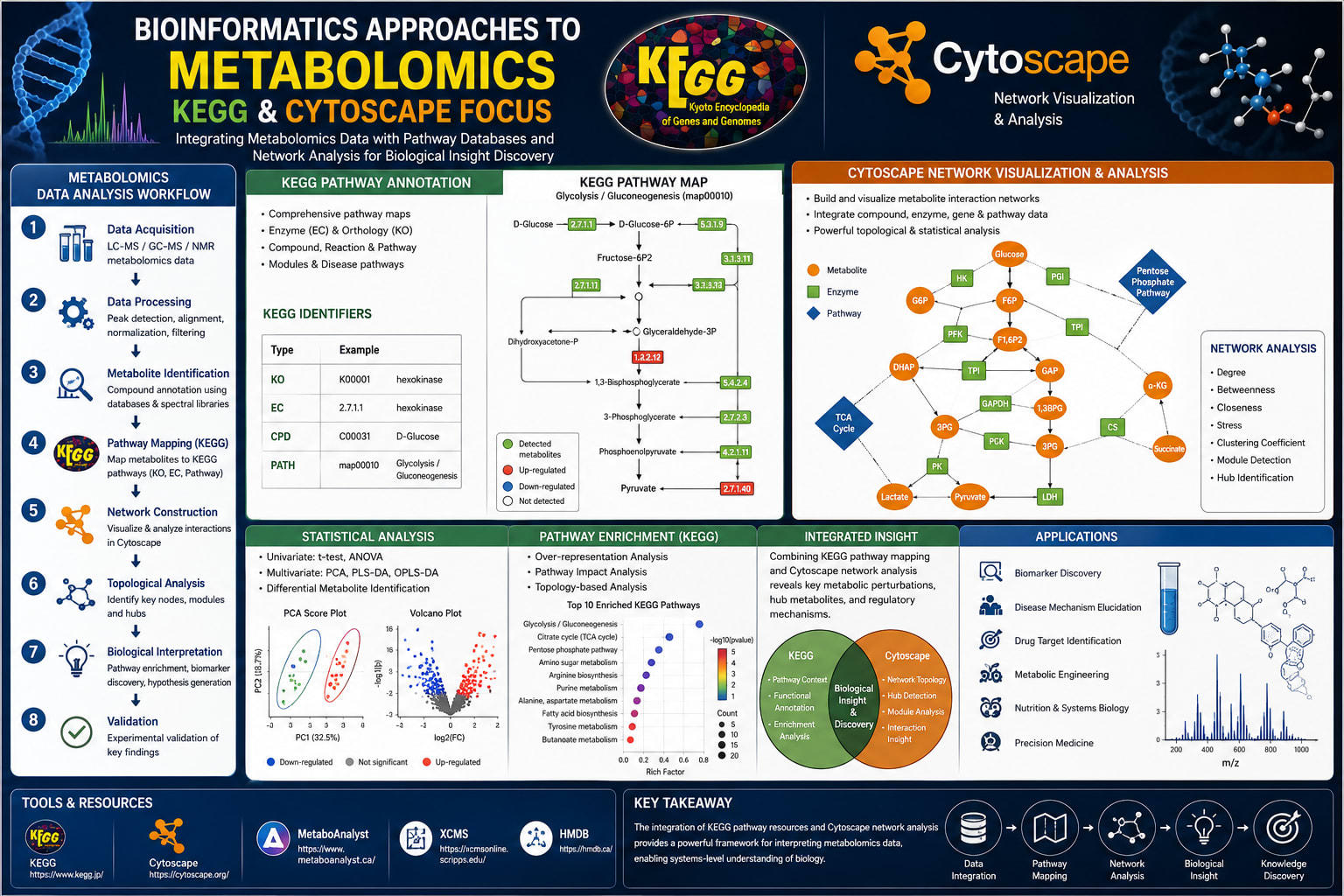 Bioinformatics Approaches to Metabolomics KEGG & Cytoscape Focus.png