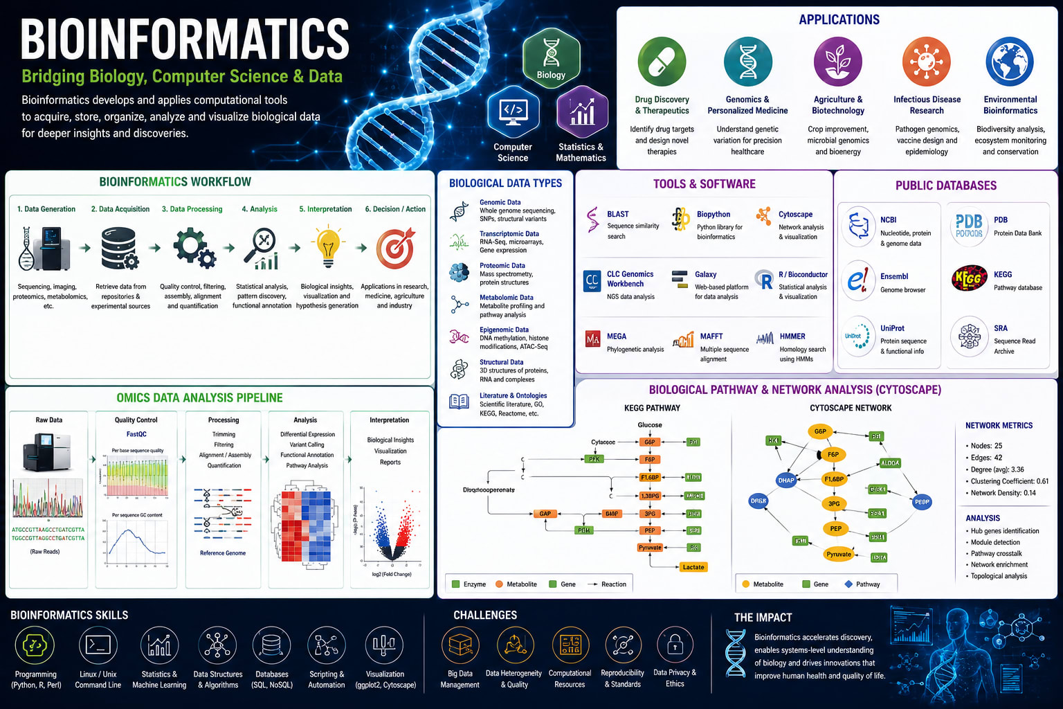 Bioinformatics.png